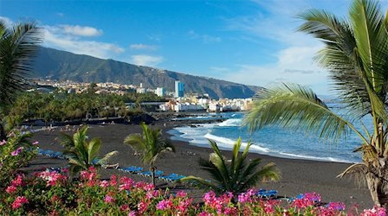 Tropical coastal scene with a black-sand beach, palm trees, pink flowers, and a city skyline against distant mountains under a blue sky.