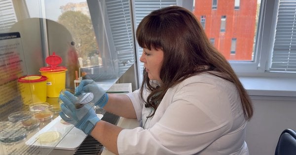 Створює картини бактеріями: У Львові лабораторна завідувачка виготовляє унікальні шедеври: відео — ZAXID.NET