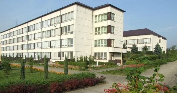 Топ шкіл Івано-Франківська 2025: рейтинг від найгіршої до найкращої