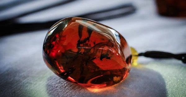 Компанії Рудьковського і Богельського з «Бурштинових» оштрафовані за картельну змову