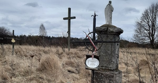 Розкопки в Україні: полякам дозволять дослідити ще два місця