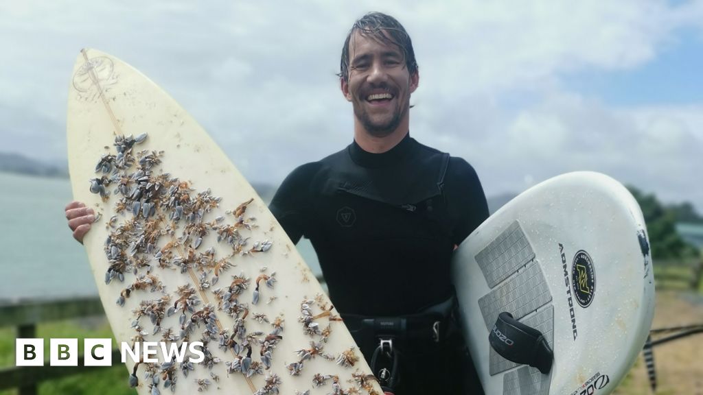 Загублена дошка для серфінгу в Тасманії припливла більш ніж на 2 400 км до Нової Зеландії