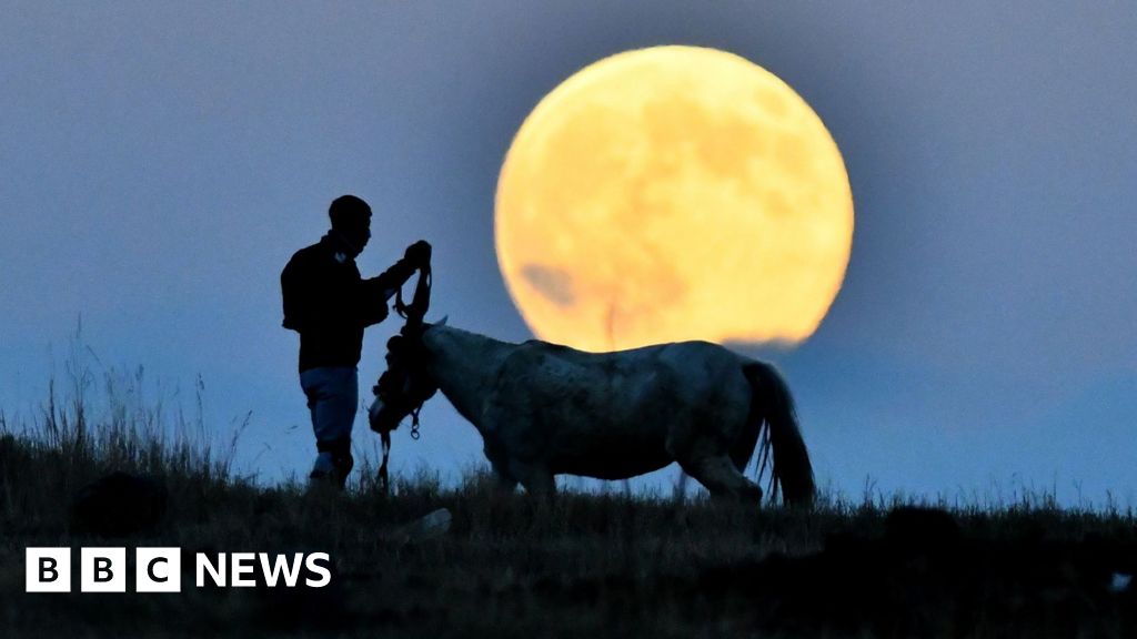 Бобровий супермісяць, помічений у різних куточках світу