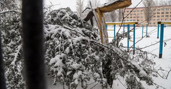 Наслідки буревію на Львівщині – без електрики майже 500 сіл і містечок