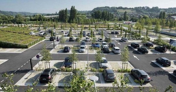 У Львові планують посадку дерев на парковках – свіжий проєкт з озеленення міста