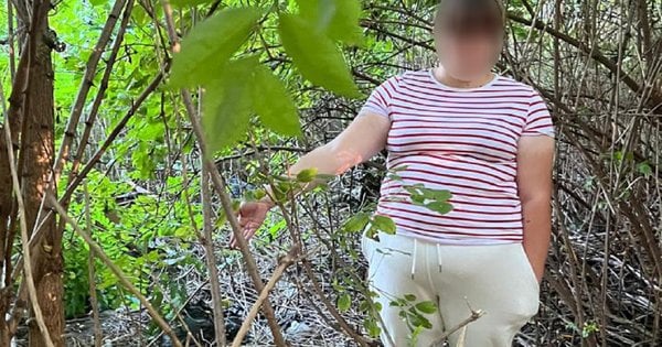 У Львові розпочнеться суд над матір'ю, яка змушувала п’ятирічну дитину продавати наркотики.