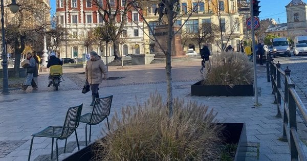 У Львові змонтували огорожі навколо дерев для їх зимового захисту