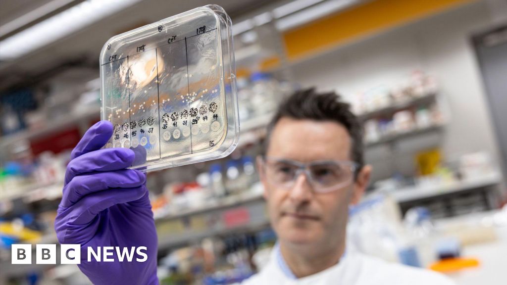 Великий проєкт штучного інтелекту для боротьби з лікарсько-стійкими супербактеріями