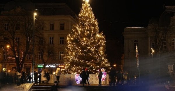 У Львові запроваджують оновлені норми для вуличних розваг: як це вплине на бізнесменів