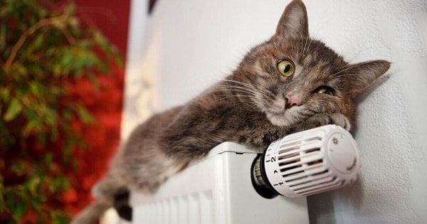 Який вид опалення встановлюють забудовники у нових будинках на Львівщині: статистичні дані