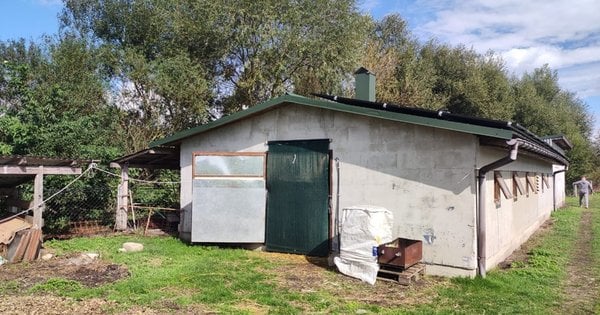 Державний реєстратор незаконно оформив право власності на ферму у сільській місцевості під Львовом.