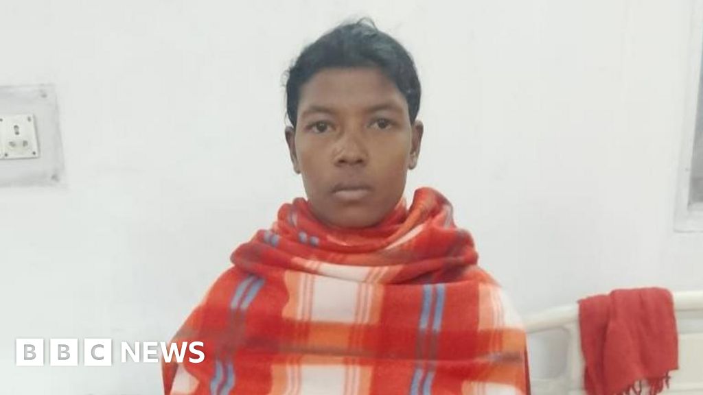 Дикий слон забрав життя 20 осіб в одному з індійських штатів