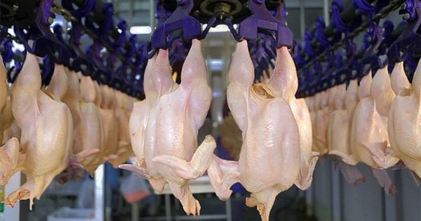 МХП придбає львівське підприємство з переробки птиці Агроль.