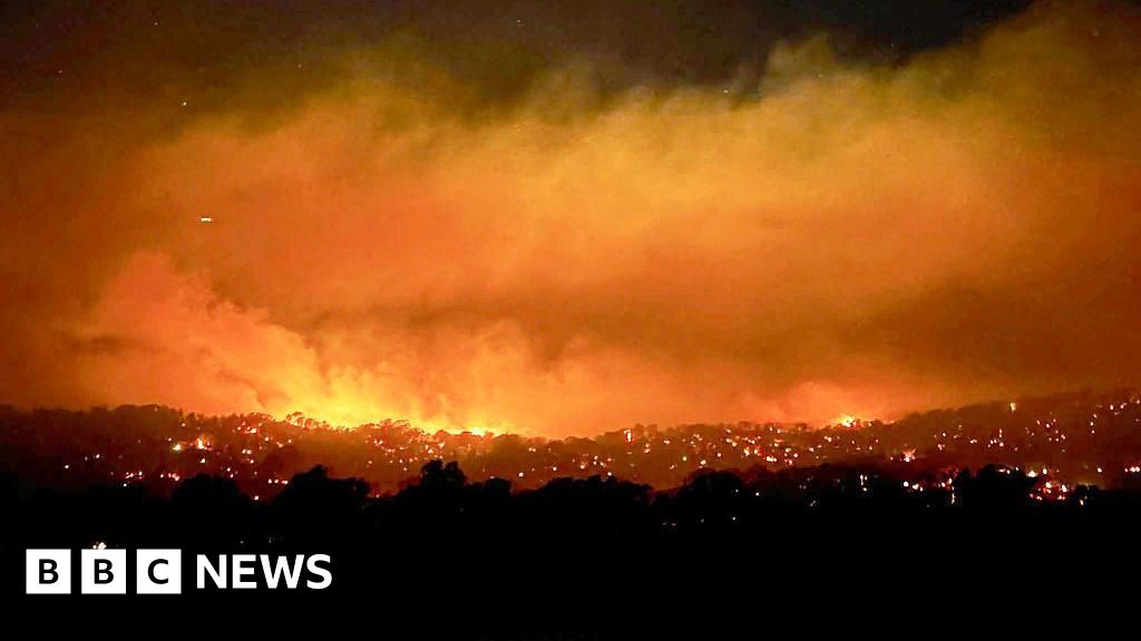 Спека охоплює Австралію, чиновники попереджають про «катастрофічну» загрозу пожежі