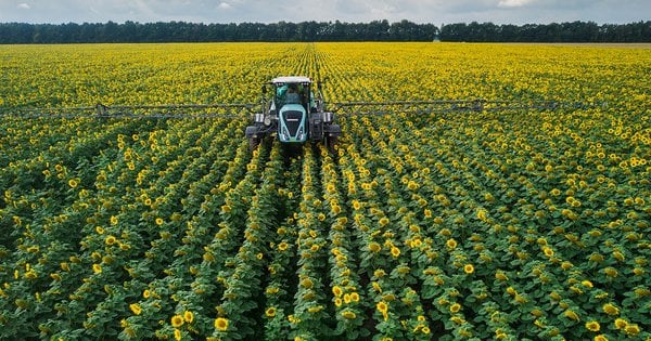 Відкрили неофіційний договір оренди близько 300 гектарів землі на Хмельниччині: що відомо