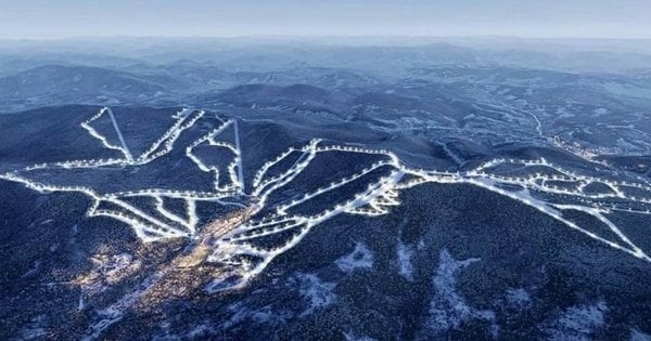 Львівська облрада схвалила передачу 176 гектарів лісу курорту Віталія Антонова.