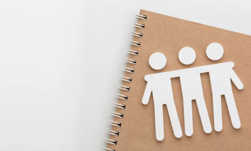 Основні напрями підтримки внутрішньо переміщених жінок.