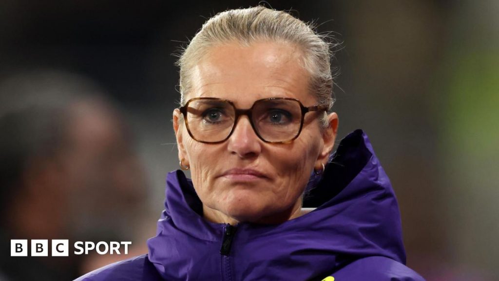 Саріна Вігман: «Левиці» отримали гарантії безпеки в Туреччині