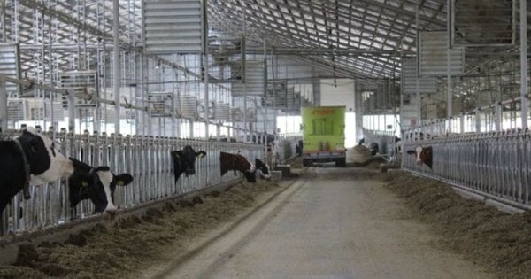 Смерть робітника на Рівненській фермі: керівник померлого отримав умовний вирок