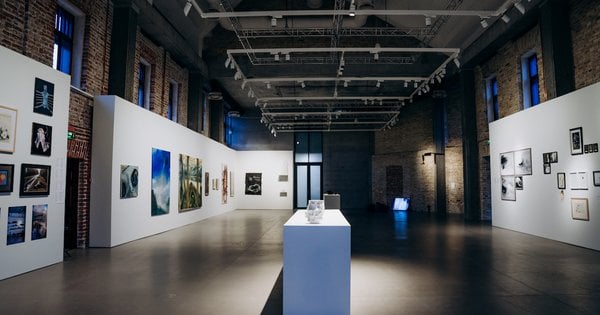 Виставка «Дивлячись у розрив» об’єднала сучасних митців у Львові – репортаж