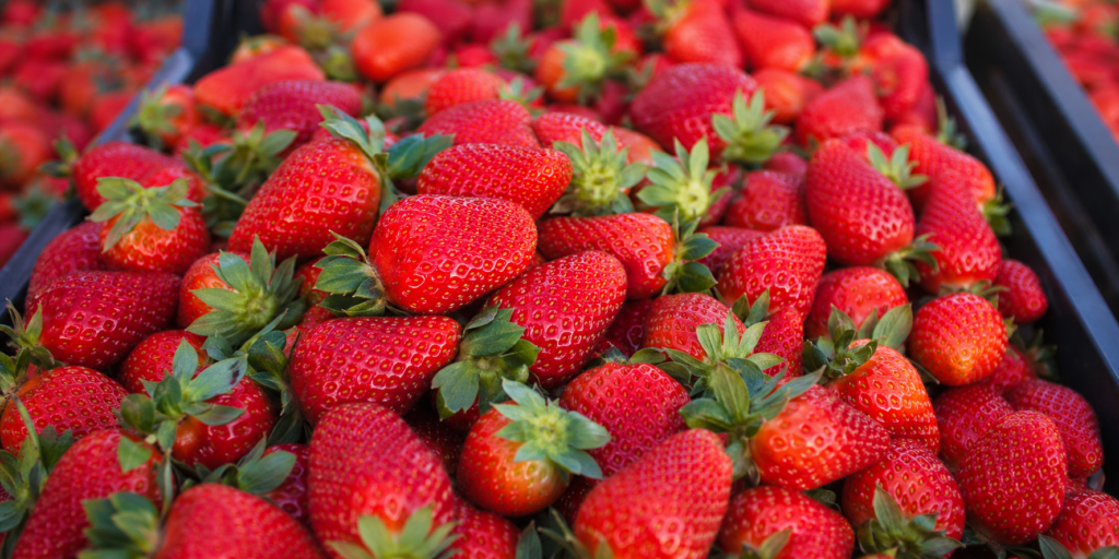 Полуниця після морозів