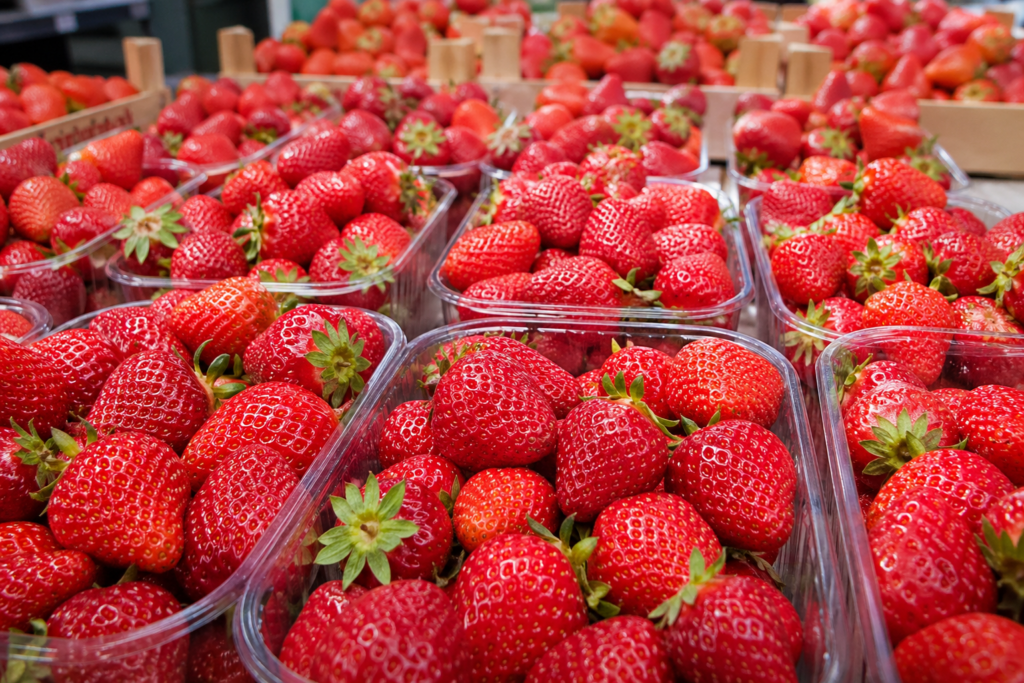 Полуниця дешевшає ще до піку сезону: імпорт тисне на українських фермерів Імпортна ягода збила ціновий старт Український сезон полуниці у 2026 році почався не так, як на це розраховували фермери. Ще до масового виходу місцевої ягоди на ринок імпортна полуниця з Греції суттєво опустила цінову планку. Через це українські виробники полуниці змушені заходити в сезон із нижчими цінами, ніж планували навесні. У другій половині березня — на початку квітня роздрібна ціна на полуницю швидко просіла приблизно до 200 грн за кілограм. Закупівельна ціна також знизилася — до близько 150 грн/кг і навіть нижче. Для фермерів це болючий сигнал, адже рання теплична ягода має високу собівартість. Чому українська полуниця не може одразу бути дешевою Рання українська полуниця — це не просто ягода з грядки. Щоб отримати врожай у квітні або на початку травня, виробники використовують теплиці, агроволокно, додатковий захист від холоду, ручний збір і швидку логістику. Саме тому стартова ціна української полуниці часто трималася на рівні 180–200 грн/кг, а перші партії могли коштувати й до 300 грн/кг. Але коли на полицях уже лежить імпортна полуниця за нижчою ціною, покупець порівнює не собівартість, а цінник. У такій ситуації фермери або знижують очікування, або ризикують залишитися з нереалізованою продукцією. Головні цифри сезону Станом на кінець квітня ринок полуниці в Україні виглядає так: роздрібна ціна імпортної ягоди — близько 200–280 грн/кг; закупівельна ціна — приблизно від 150 грн/кг; перша українська теплична полуниця місцями стартувала до 300 грн/кг; масове здешевлення очікується у травні-червні. Звідки везуть полуницю в Україну На старті сезону український ринок активно заповнює імпортна полуниця. Найпомітніший вплив має ягода з Греції, а також постачання з південних країн Європи. Вона з’являється раніше, бо клімат там дозволяє збирати врожай швидше. Українська полуниця поступово заходить на ринок із Закарпаття та південних регіонів. Першими традиційно стартують тепличні господарства, а вже пізніше підключається ягода з відкритого ґрунту. Саме вона зазвичай і формує найвідчутніше зниження цін. Коли полуниця в Україні подешевшає Найпомітніше зниження ціни на полуницю очікується у травні, коли на ринку стане більше української ягоди з теплиць і неопалюваних укриттів. Ще сильніше ціни можуть просісти в червні, коли почнуться масові поставки з відкритого ґрунту. Якщо погода буде теплою і без затяжних дощів, пропозиція зростатиме швидко. У такому разі полуниця в Україні може подешевшати до більш доступного рівня. Для покупців це добра новина, а для виробників — період дуже жорсткої конкуренції. Що впливає на ціну полуниці На вартість ягоди зараз тиснуть одразу кілька факторів: обсяги імпорту та ціна грецької полуниці; погода в українських регіонах; витрати фермерів на теплиці, пальне, електроенергію та ручний збір; швидкість виходу української ягоди з відкритого ґрунту; попит у супермаркетах, на ринках і в переробників. Чому фермери говорять про складний старт Для українських фермерів сезон полуниці 2026 року починається з великої невизначеності. З одного боку, попит на ягоду традиційно високий. З іншого — імпорт уже задав нижчу ціну, і виробникам доводиться підлаштовуватися під ринок. Особливо складно тим, хто вклався у ранню тепличну полуницю. Така ягода дорожча у виробництві, бо потребує більше ресурсів. Якщо продавати її за надто низькою ціною, маржа різко скорочується. Українська полуниця проти імпортної Покупці часто обирають українську полуницю через смак, свіжість і коротшу дорогу від поля до прилавка. Але на старті сезону ціна має вирішальне значення. Імпортна полуниця може поступатися за ароматом, проте вона вже є на полицях і формує перше враження про ціну сезону. Для українських виробників це означає, що ставка лише на “першу ягоду” вже не працює так, як раніше. Дедалі важливішими стають якість, стабільні поставки, сортування, упаковка і швидка доставка. На що орієнтуватися покупцям Покупцям не варто поспішати з великими закупівлями у квітні, якщо полуниця потрібна для заморожування чи варення. Найкращий період для цього зазвичай настає у червні, коли українська полуниця масово виходить із відкритого ґрунту. У травні ціна вже може стати нижчою, але багато залежатиме від погоди. Якщо похолодання затримає дозрівання, вартість може тимчасово втриматися на вищому рівні. Ринок входить у сезон без дефіциту Попри ціновий тиск на фермерів, дефіциту полуниці в Україні наразі не прогнозують. Імпорт закрив ранній попит, а українські виробники поступово нарощують пропозицію. Головна інтрига сезону — не наявність ягоди, а динаміка цін у найближчі тижні.