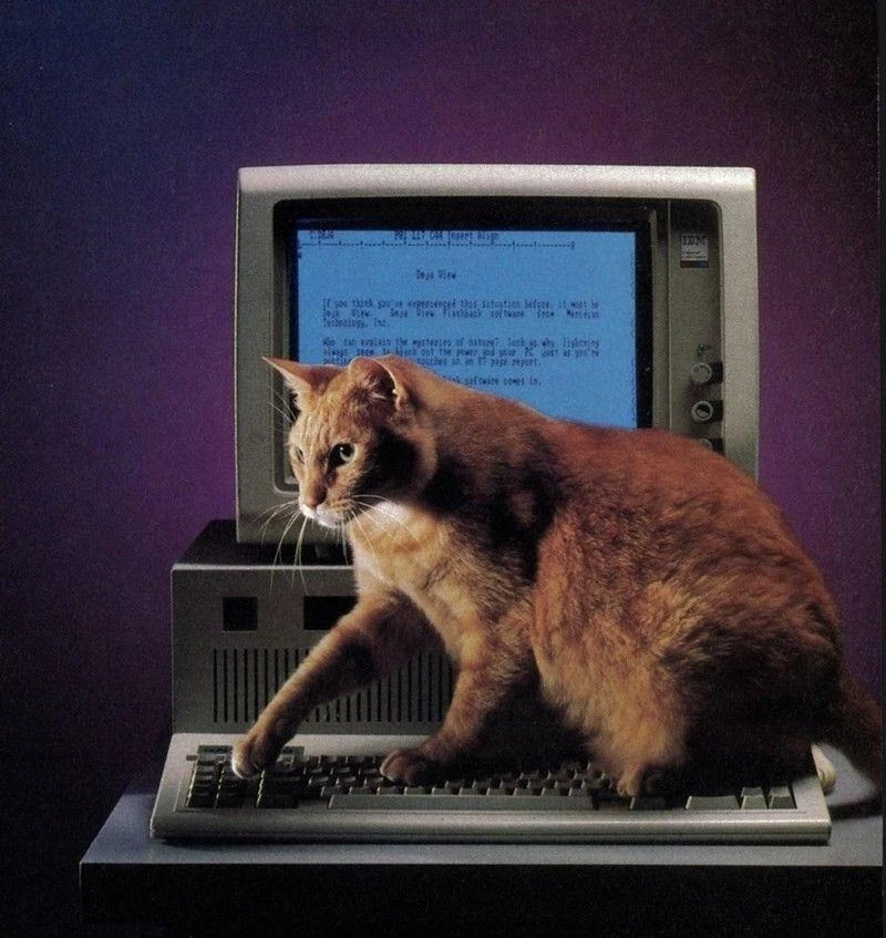  Ссылочный аудит сайта: как seomarket защищает бизнес от SEO-рисков