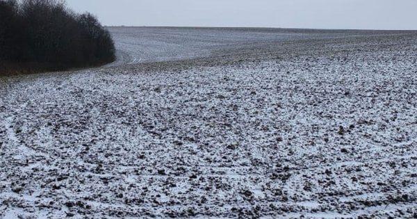 Агрохолдинг МХП повернув громаді 84 гектари через неправильне використання землі