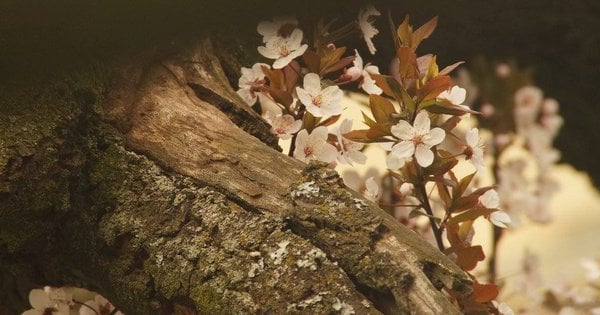 Де відсвяткувати Великдень у Львові: розклад заходів з 6 по 12 квітня