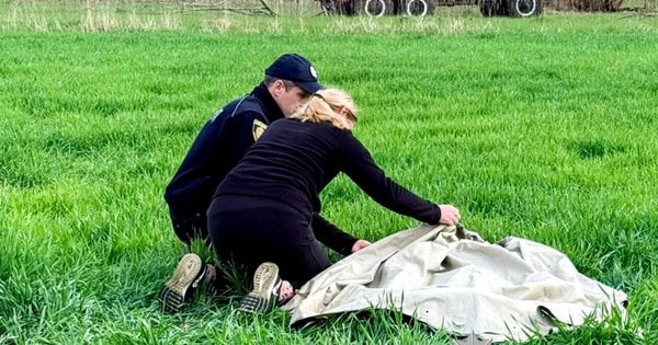 Пропажа братів на Рівненщині — у річці Горинь виявили тіло 4-річного хлопчика