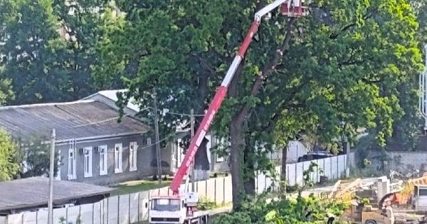 В Івано-Франківську будівельна компанія вирубала зелені насадження – хто причетний і яку позицію займає міська влада