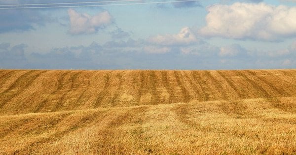 Вартість земельних ділянок в Україні: найбільші ціни на Львівщині та в Прикарпатті - подробиці