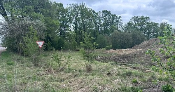 Компанія зі Львова з капіталом 1 тис. грн придбала земельну ділянку для багатоповерхового будинку в Миколаєві за 5,1 млн грн