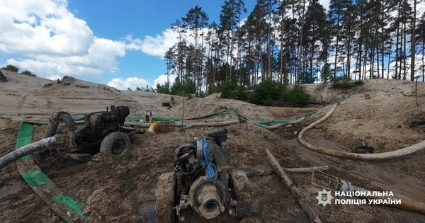 На Рівненщині розкрили великий незаконний видобуток бурштину: знищено 50 га лісу та сотні дерев