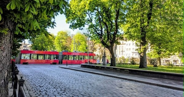 Прогноз погоди у Львові та області з 20 по 24 червня: час очікувати спекотні дні