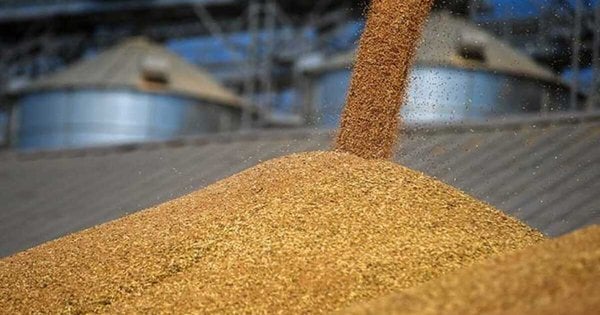 Суд у Хмельницькому наклав штраф у 2,8 млн грн за нелегальний вивезення сільськогосподарської продукції.