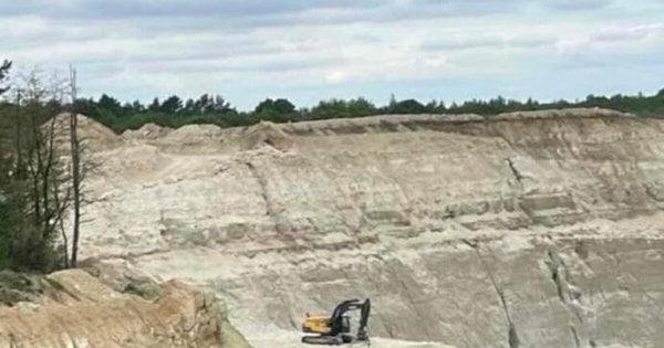 У Львівській області підприємство змусили виплатити більше 40 млн грн за нелегальний видобуток піску в лісовій зоні