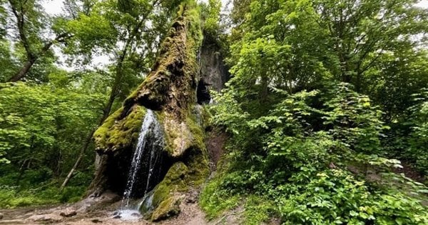 У Маліївцях на Хмельниччині археологи виявили дзвіницю печерного монастиря.