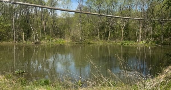 Злочинці незаконно перепродали 2 гектари землі у Верхньому Синьовидному