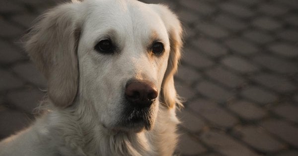 Події у Львові з 20 по 26 липня 2026 року: огляд заходів