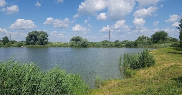 Юнак із Львівщини захворів на лептоспіроз після плавання у водоймі
