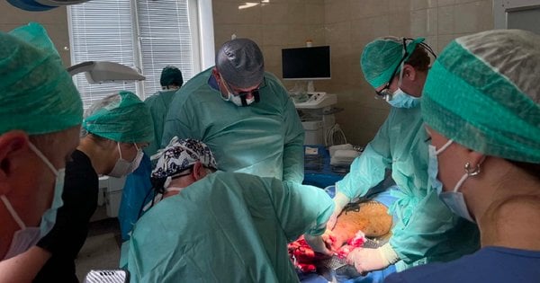 Цілеспрямована сенсорна реіннервація: італійські хірурги у Львові провели операції військовим з ампутаціями