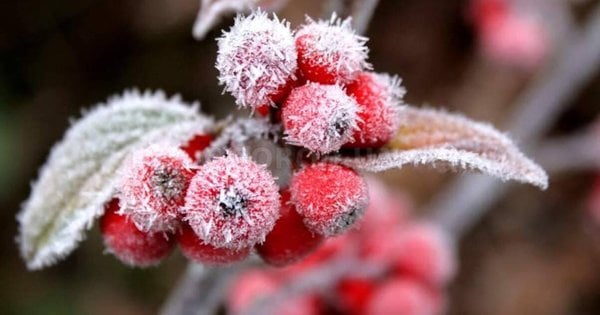Морози в Рівному і області: метеорологи озвучили прогноз погоди на 1-3 жовтня