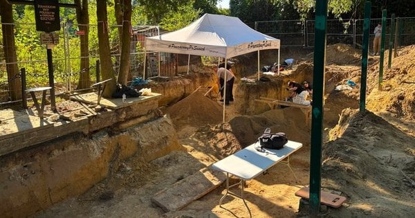 Розкопки на Голосківському цвинтарі у Львові 2026: знайдено перші залишки солдатів