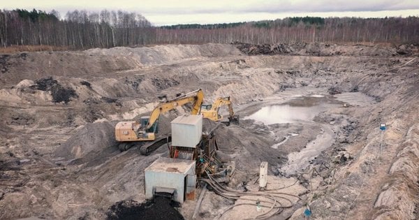Сім ділянок з бурштином на Рівненщині виставлено на продаж через аукціон: що відомо