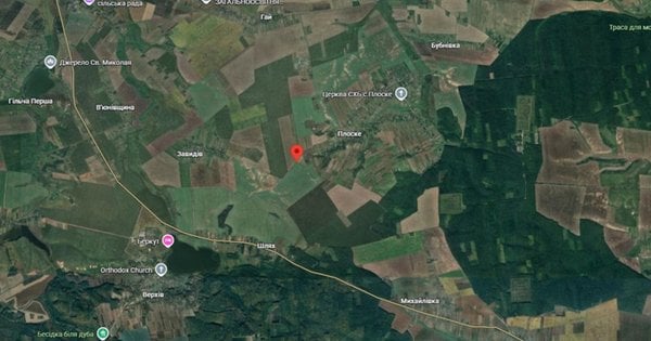 Земельну ділянку на Рівненщині продали через аукціон: переможцем став агробізнесмен Олег Меткий