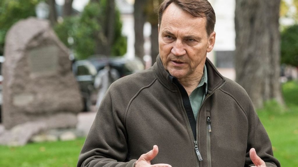паспорт із печаткою, поряд маленький польський прапорець і складений офіційний документ