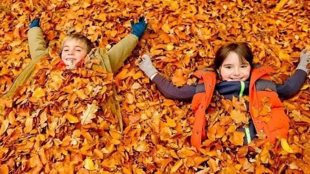 порожній шкільний коридор з шафками та календарем на стіні