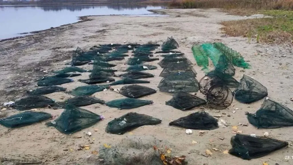 композиція з раколовок та сітки на березі озера, без людей