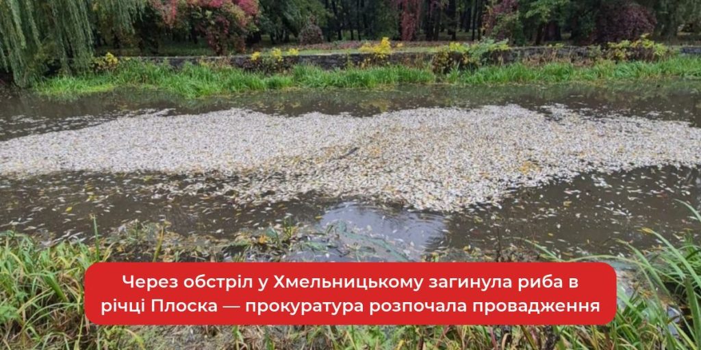 крупний план мертвої риби на мулистому березі річки на тлі розмитих пошкоджених виробничих споруд